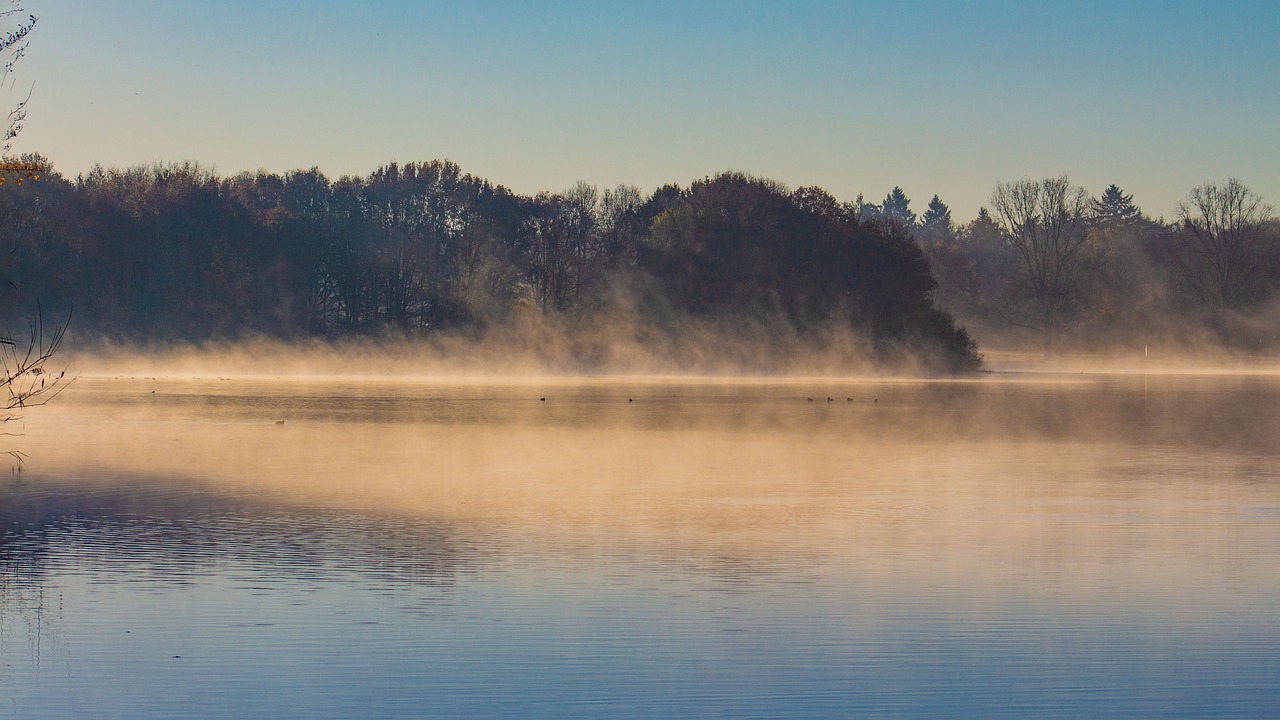 Jak gotować na parze: Poradnik dla początkujących kucharzy