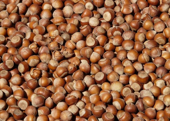 Zdrowe Przekąski dla Dzieci: Pyszne i Pożywne Pomysły