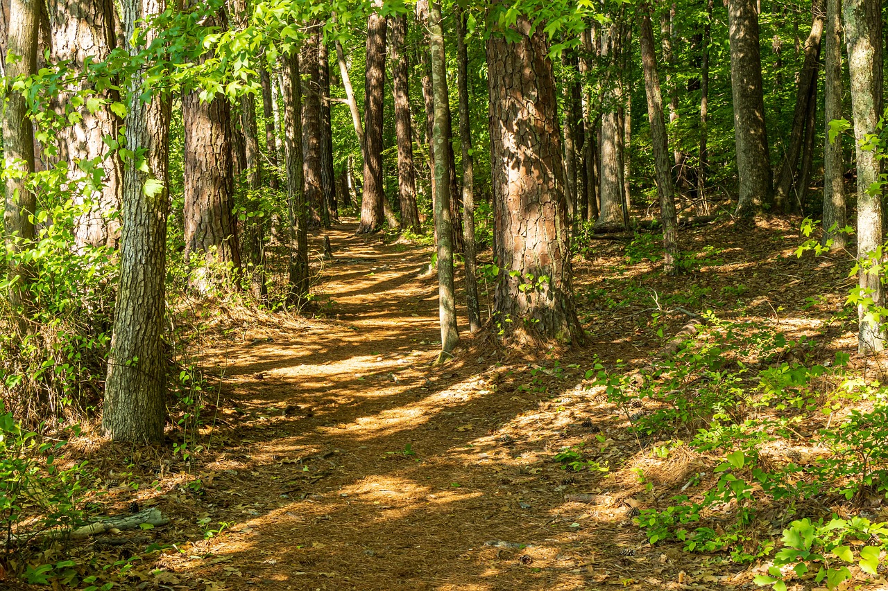 Najlepsze przepisy na domowe przetwory, które musisz spróbować